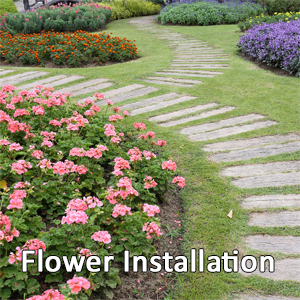 Flower Bed Design, Flower & Plant Installation