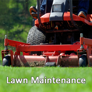 Pugh's Earthworks, Lawn Maintenance