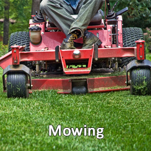 Commercial Lawn Mowing, Commercial Lawn Care