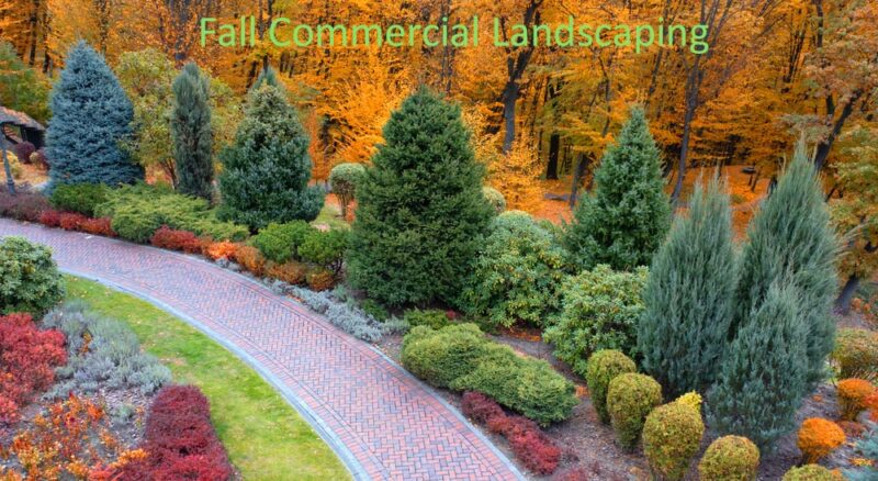 Commercial Landscaping Company