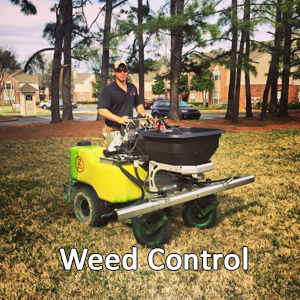 Pugh's Earthworks, Weed Control