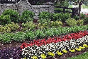 does weed and feed work in flower beds