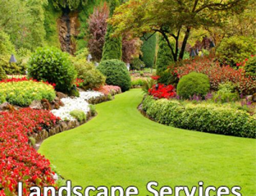 Landscape Care For Every Season