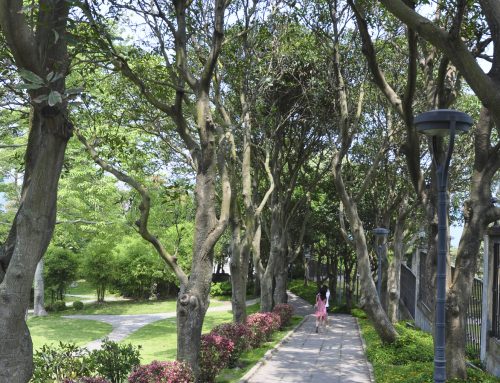 Enjoy peaceful pathways professionally landscaped by Pugh’s Earthworks
