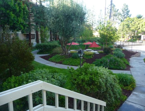 Receive Premiere Landscaping Service at Pugh’s Earthworks