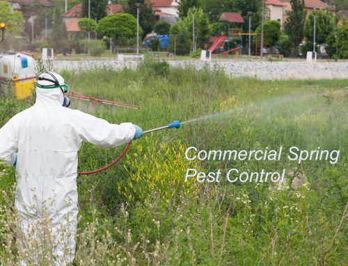 Pugh’s Earthworks will help with Commercial Spring Pest Control