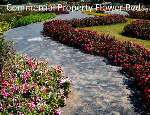 Pugh’s Earthworks is the Best at Designing and Maintaining Commercial Property Flower Beds