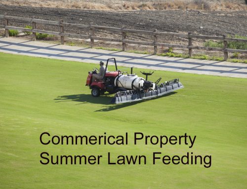 Pugh’s Earthworks Offers Expert Summer Lawn Feeding to Ensure a Beautiful Commercial Property