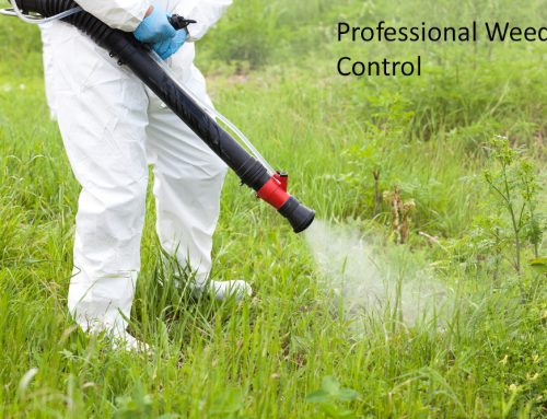 Customers Receive a 100% Satisfaction Guarantee for all Services from Pugh’s Earthworks Including Weed Control Services