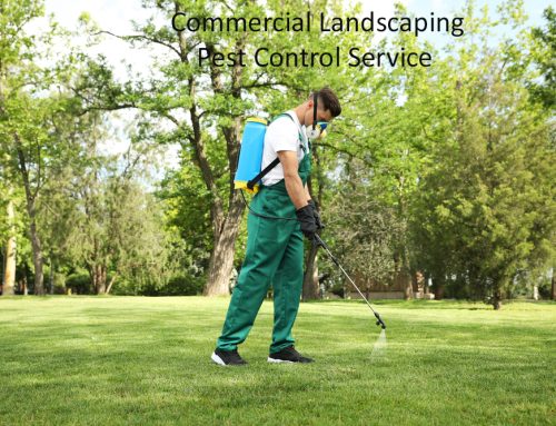 Eliminate damaging insects with the Help of Pugh’s Earthworks Commercial Landscaping Pest Control