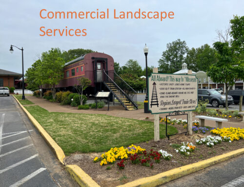 Pugh’s Earthworks Provides Commercial Landscape Service to Jackson Tennessee