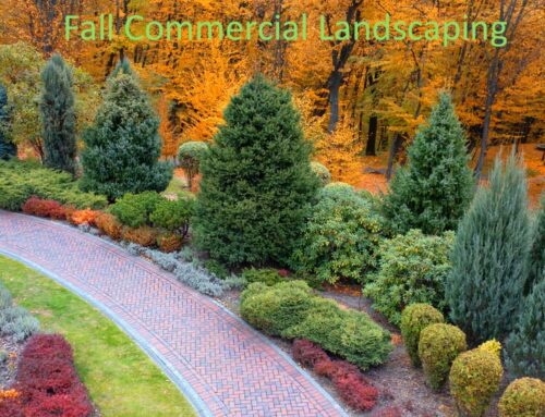 Hire Pugh’s Earthworks and Start Fall Landscape Maintenance on Your Commercial Property