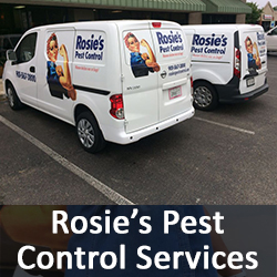 Rosie's Pest Control, Residential & Commercial Pest Control