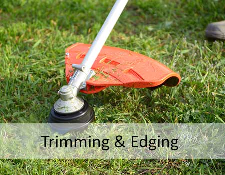 Edging, Trimming, Lawn Maintenance