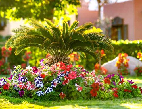 Expert Hotel Commercial Landscaping is Available at Pugh’s Earthworks.