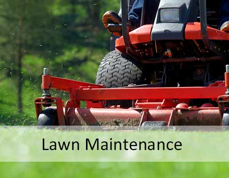 Lawn Maintenance, Lawn Mowing
