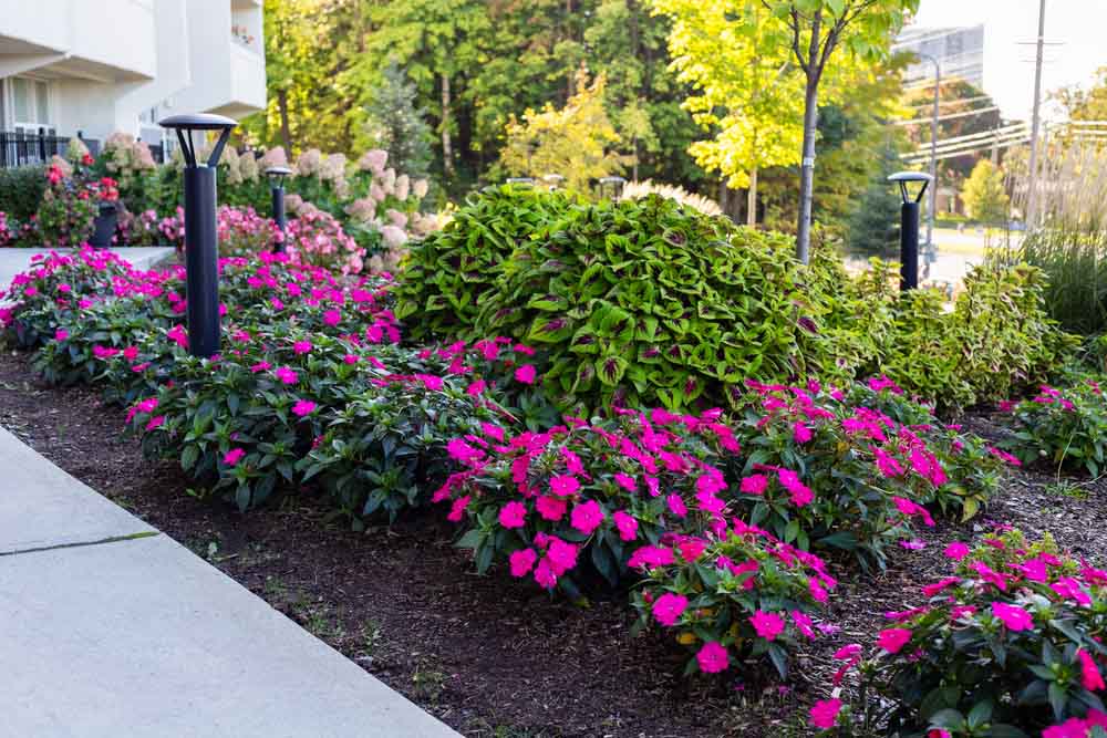 office landscaping, commercial landscaping