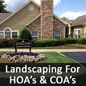 Landscaping For HOA, Landscaping For COA