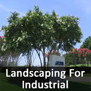 Landscaping For Businesses, Lawn Maintanenca For Businesses