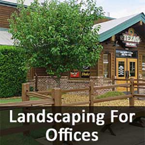 Landscaping For Office Complexes, Lawn Maintenance For Office Complexes