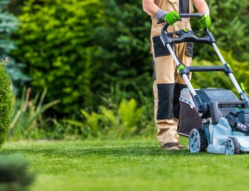 We are the Premiere Landscape Industry Certified Company in the Mid-South