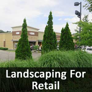 Landscaping For Shopping Centers, Lawn Maintenance For Shopping Centers