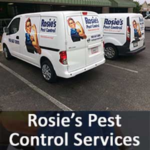 Pest Control Services, Pest Control For Businesses, Pest Control For Residences
