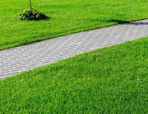 Hire us in Littlerock Arkansas for all of your Commercial Lawn Maintenance Needs.