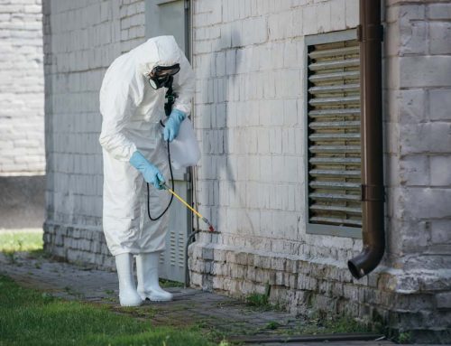 We Offer Commercial and Residential Pest Control to Eliminate Harmful Insects and Other Pests