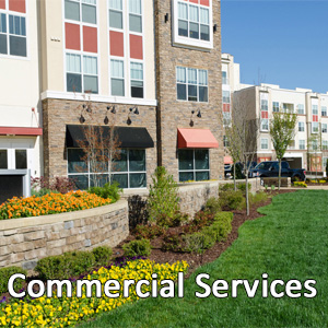 Summer Commercial Landscaping