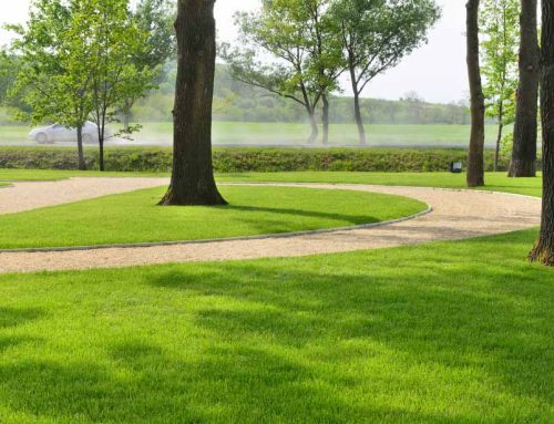 Our Technicians Know the Best Grass for Mid-South Commercial Properties!