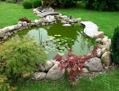 Pond Construction and Maintenance