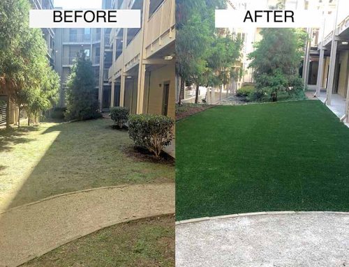 We Provide a Wide Range of Commercial Landscaping Services Including Synthetic Turf Installation