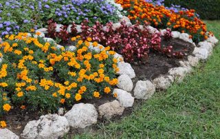 Pugh's Earthworks Innovative Flower Bed Ideas for Commercial Spaces