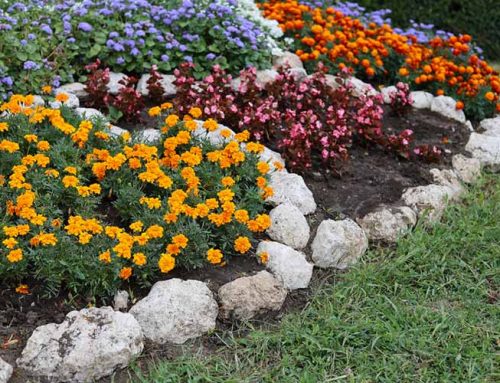 Elevating Commercial Spaces with Innovative Flower Bed Design