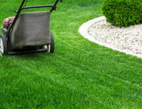 Mastering Commercial Landscape Mowing The Ultimate Guide for Landscaping Businesses and Property Managers