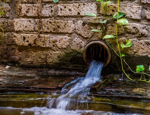 The Ultimate Guide to Commercial Landscape Water Drainage
