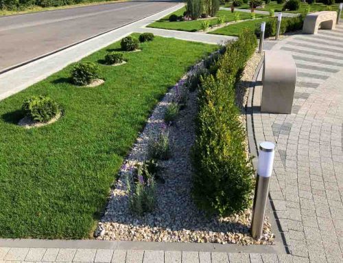 Transform Your Parking Lot Islands with Eco-Friendly Landscaping