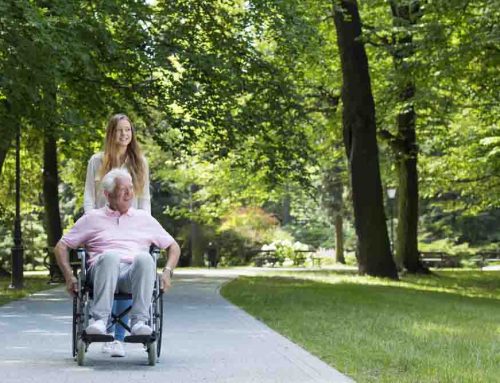 Transforming Healthcare Spaces into a Therapeutic Hospital Landscape Environment with Thoughtful Landscaping