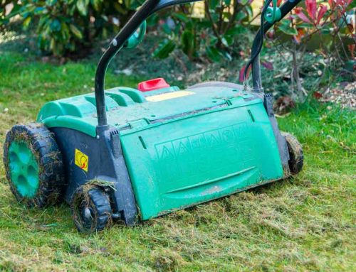 When to Aerate Your Lawn in the Mid-South