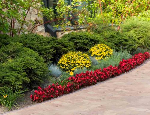 Professional Lakeland District Commercial Landscaping Provided by Pugh’s Earthworks