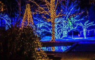 Pugh's Earthworks Holiday Lighting