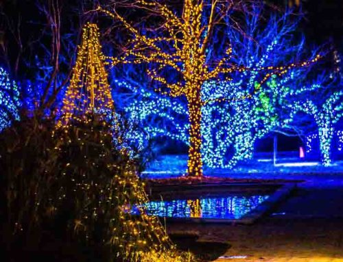 Pugh’s Earthworks Offers Holiday Lighting to Evangelical Christian School