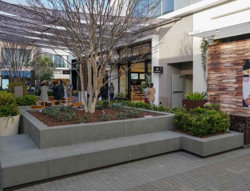 Retail Facilities Have Unique Commercial Landscaping Needs