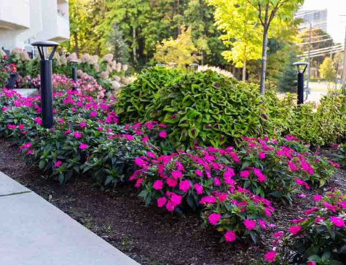 Office Professional Commercial Landscaping is a Beneficial Service