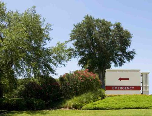 Professional Hospital Commercial Landscaping Makes for Great Curb Appeal