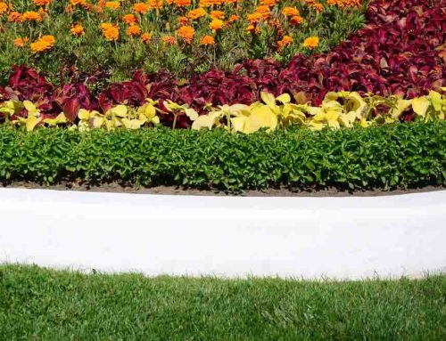 Professional Commercial Landscaping is Tailored to the Unique Needs of Medical Clinics