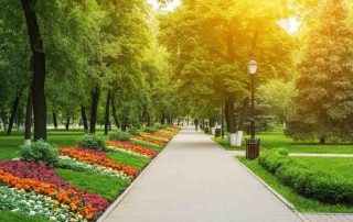 Landscaped City Park
