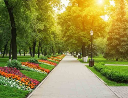 Jackson Tennessee Stays Beautiful with Professional Commercial Landscaping