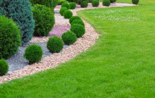 Landscape bed of garden with wave ornamental growth cypress bushes gravel mulch by color rock way on a day spring park with green lawn meadow, nobody.